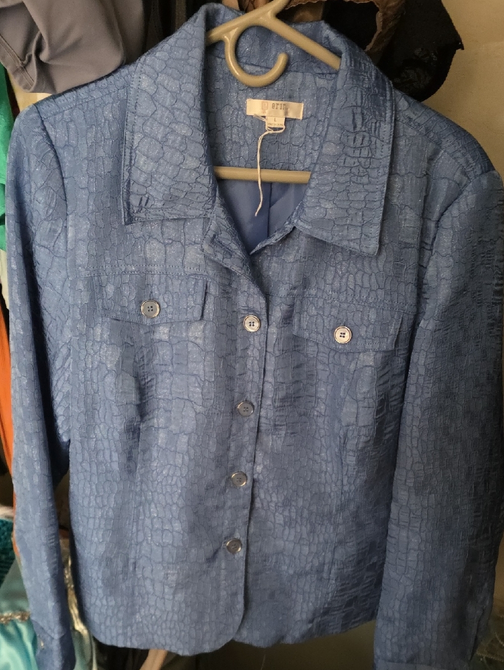 Erin Light Blue Textured Button Jacket